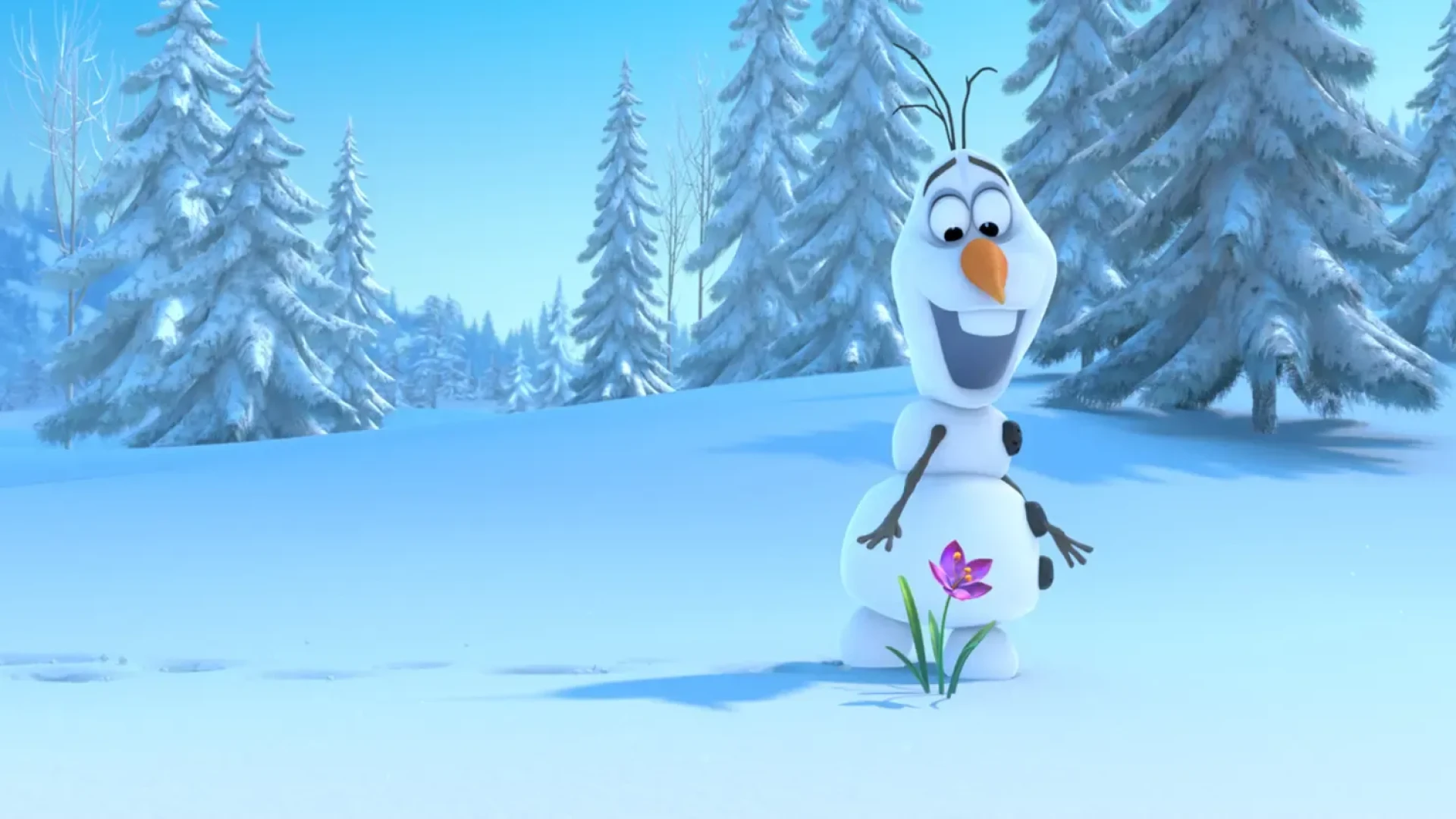 Frost
