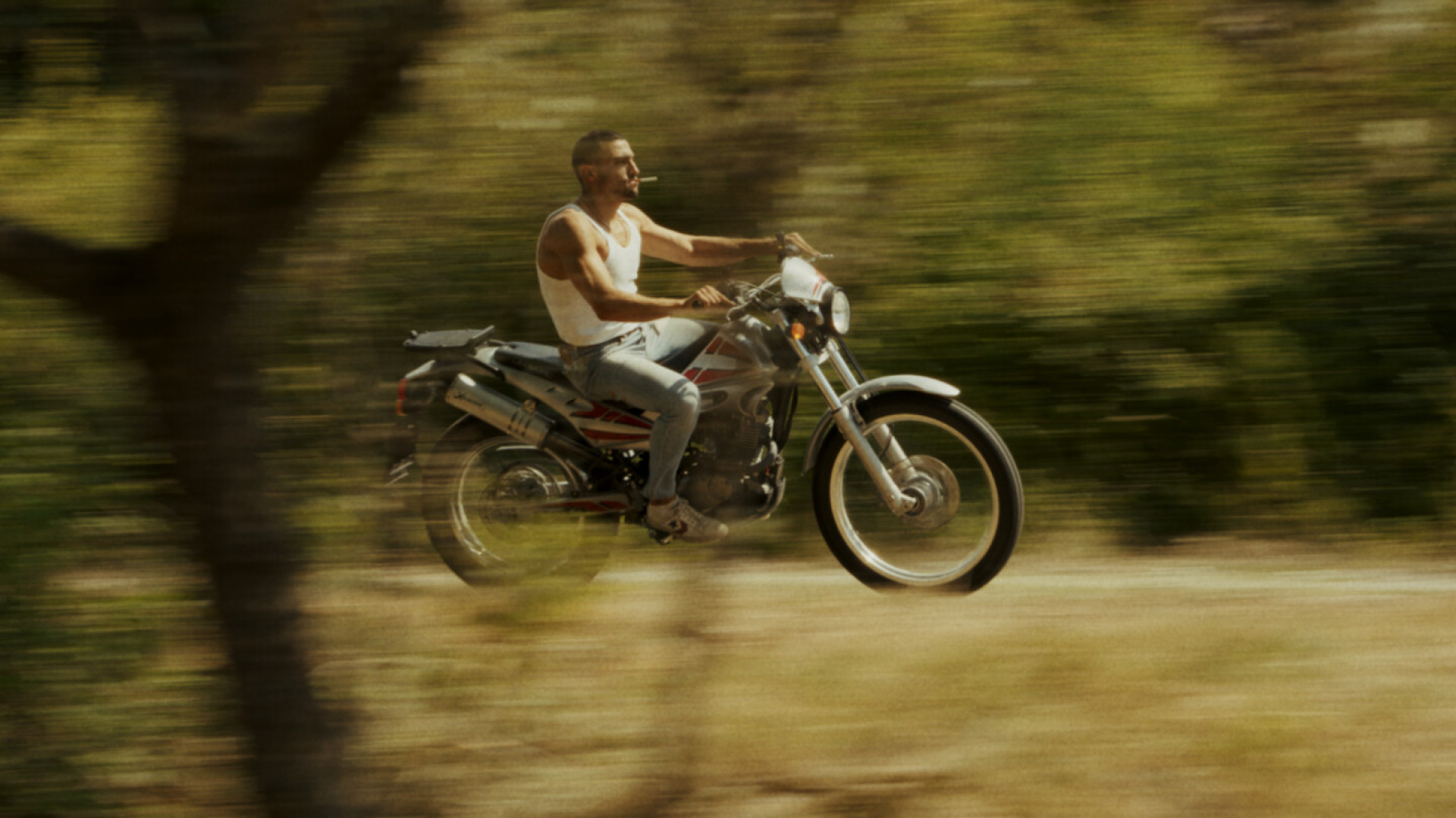 The Motorcycle