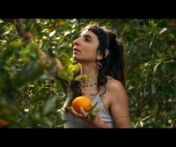 Bilde fra: Half an Orange
