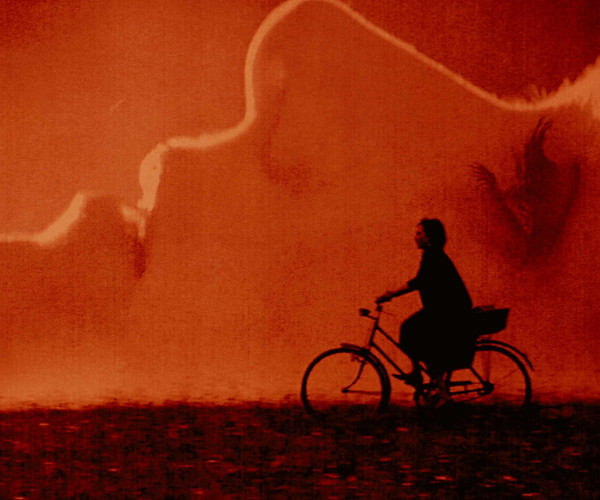 Bilde fra: The Duke of Burgundy