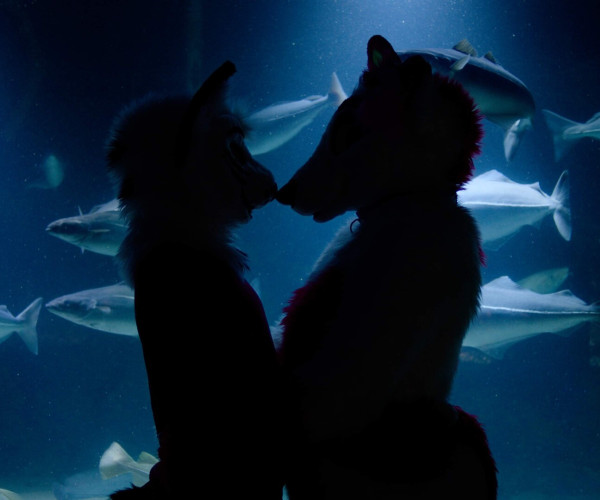 Bilde fra: A Furry Tale