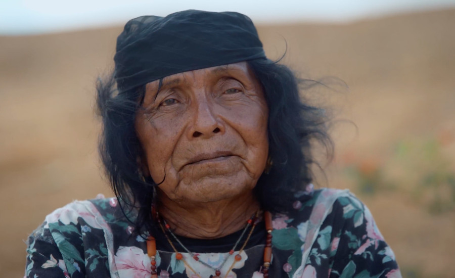 Two-Spirit