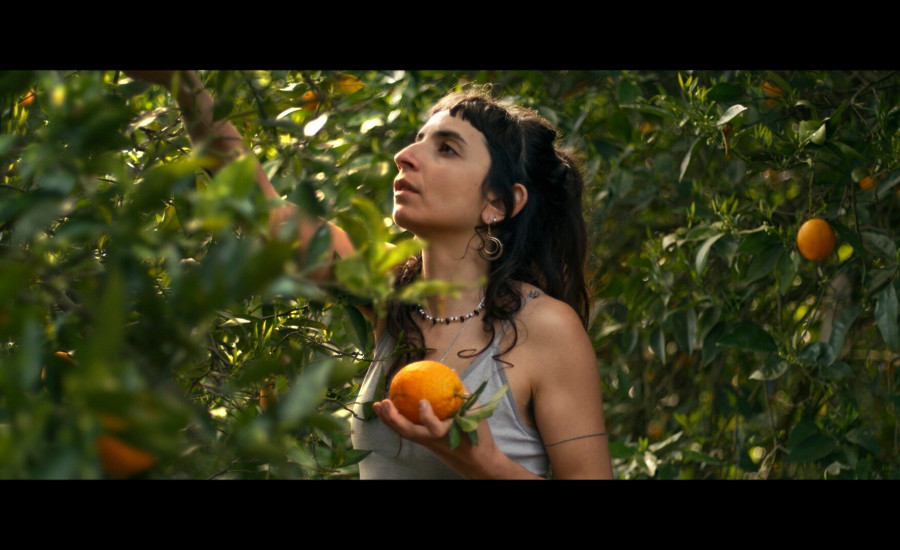 Half an Orange